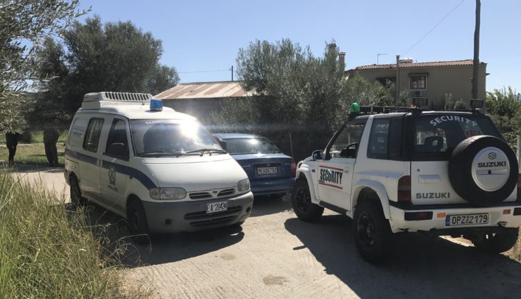 ΜΟΣΧΑΡΙΑ στο Καστράκι 3