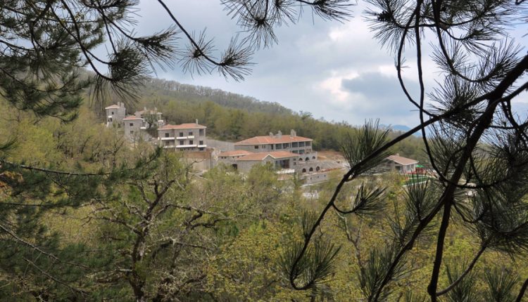ΞΕΝΟΔΟΧΕΙΟ ΔΑΣΟΣ ΘΕΡΕΤΡΟΝ 1