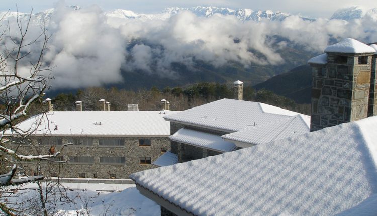 ΞΕΝΟΔΟΧΕΙΟ ΔΑΣΟΣ ΘΕΡΕΤΡΟΝ 3